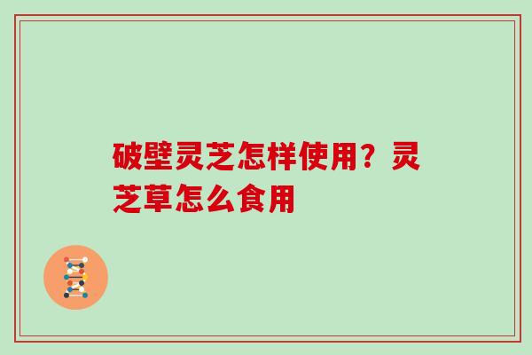 破壁灵芝怎样使用？灵芝草怎么食用