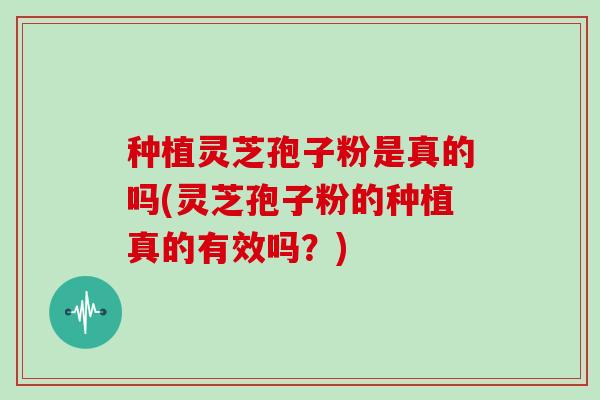 种植灵芝孢子粉是真的吗(灵芝孢子粉的种植真的有效吗？)
