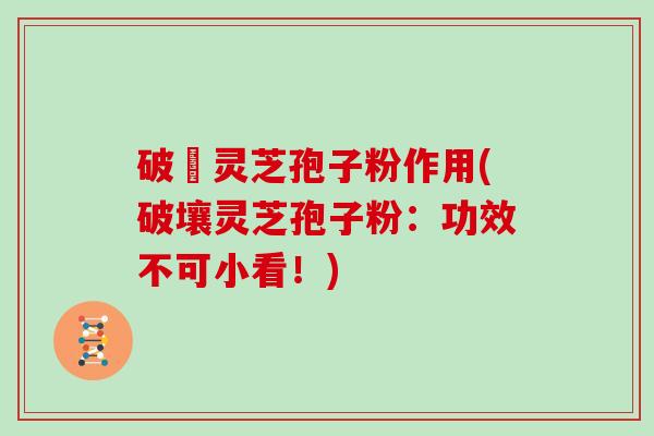 破壂灵芝孢子粉作用(破壤灵芝孢子粉:功效不可小看!)-第1张图片-灵芝大师 破壂灵芝孢子粉作用(破壤灵芝孢子粉:功效不可小看!)-第1张图片-灵芝大师