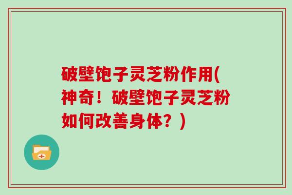 破壁饱子灵芝粉作用(神奇！破壁饱子灵芝粉如何改善身体？)