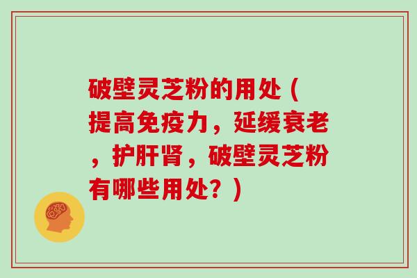 破壁灵芝粉的用处 (提高免疫力，延缓衰老，护肝肾，破壁灵芝粉有哪些用处？)