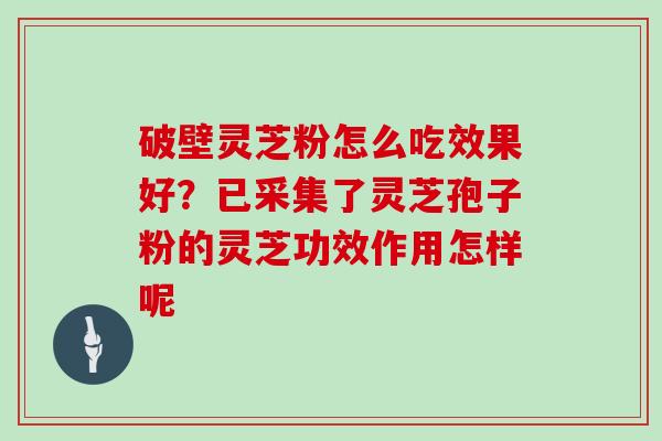 破壁灵芝粉怎么吃效果好？已采集了灵芝孢子粉的灵芝功效作用怎样呢