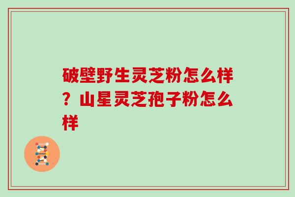 破壁野生灵芝粉怎么样？山星灵芝孢子粉怎么样