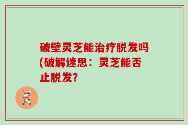 破壁灵芝能治疗脱发吗(破解迷思：灵芝能否止脱发？
