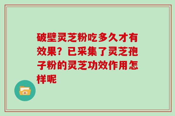 破壁灵芝粉吃多久才有效果？已采集了灵芝孢子粉的灵芝功效作用怎样呢