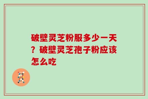 破壁灵芝粉服多少一天？破壁灵芝孢子粉应该怎么吃