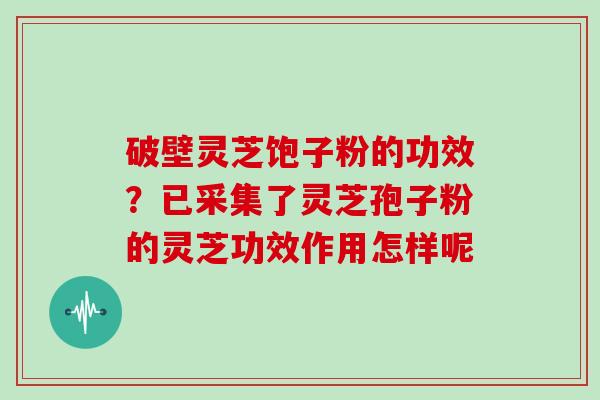 破壁灵芝饱子粉的功效？已采集了灵芝孢子粉的灵芝功效作用怎样呢