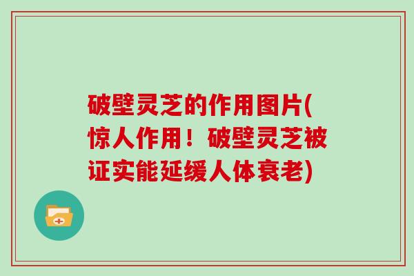 破壁灵芝的作用图片(惊人作用！破壁灵芝被证实能延缓人体衰老)
