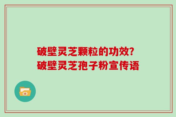 破壁灵芝颗粒的功效？破壁灵芝孢子粉宣传语
