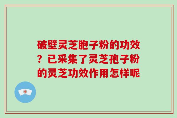 破壁灵芝胞子粉的功效？已采集了灵芝孢子粉的灵芝功效作用怎样呢