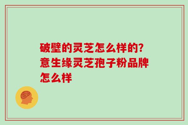 破壁的灵芝怎么样的？意生缘灵芝孢子粉品牌怎么样