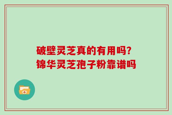 破壁灵芝真的有用吗？锦华灵芝孢子粉靠谱吗