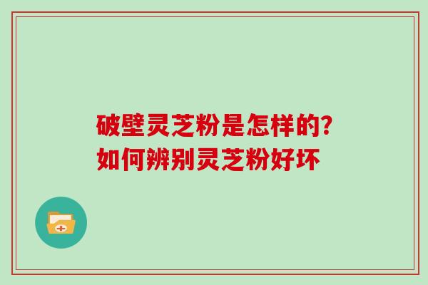破壁灵芝粉是怎样的？如何辨别灵芝粉好坏