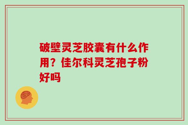 破壁灵芝胶囊有什么作用？佳尔科灵芝孢子粉好吗