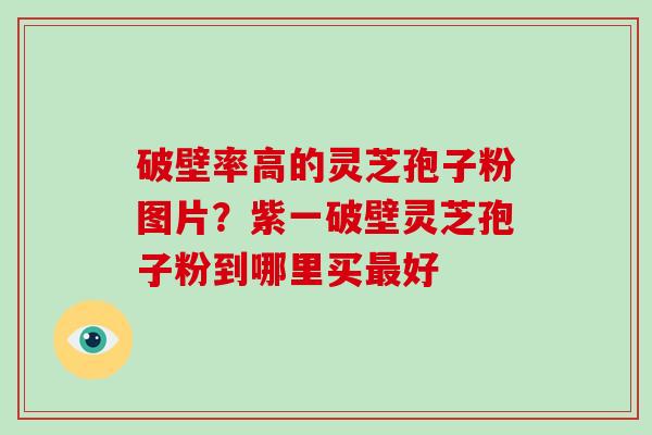 破壁率高的灵芝孢子粉图片？紫一破壁灵芝孢子粉到哪里买最好