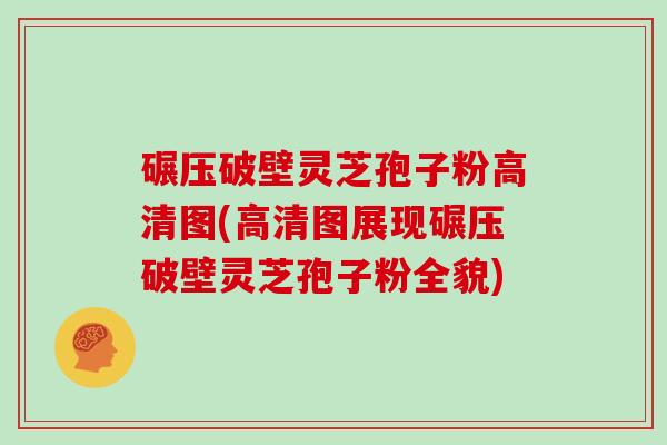 碾压破壁灵芝孢子粉高清图(高清图展现碾压破壁灵芝孢子粉全貌)