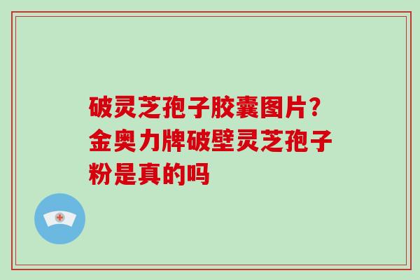 破灵芝孢子胶囊图片？金奥力牌破壁灵芝孢子粉是真的吗