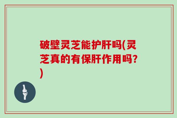 破壁灵芝能护肝吗(灵芝真的有保肝作用吗？)
