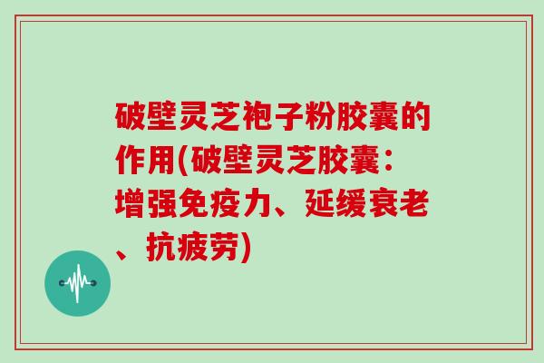 破壁灵芝袍子粉胶囊的作用(破壁灵芝胶囊：增强免疫力、延缓衰老、抗疲劳)