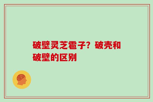 破壁灵芝雹子？破壳和破壁的区别
