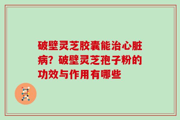 破壁灵芝胶囊能治心脏病？破壁灵芝孢子粉的功效与作用有哪些