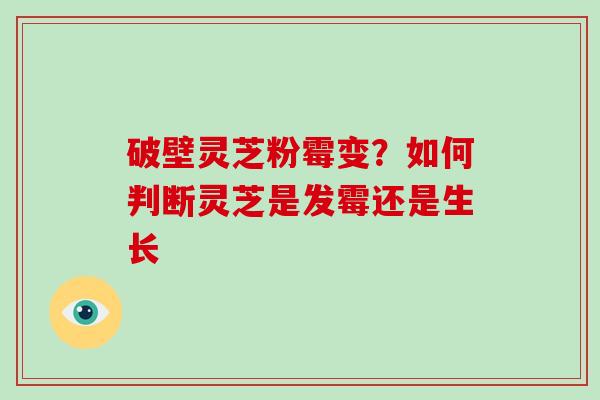 破壁灵芝粉霉变？如何判断灵芝是发霉还是生长