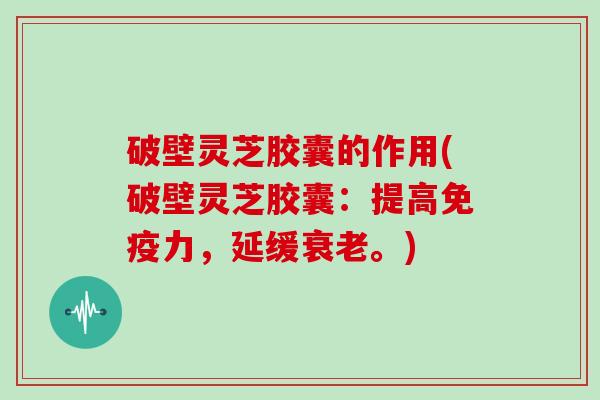破壁灵芝胶囊的作用(破壁灵芝胶囊：提高免疫力，延缓衰老。)