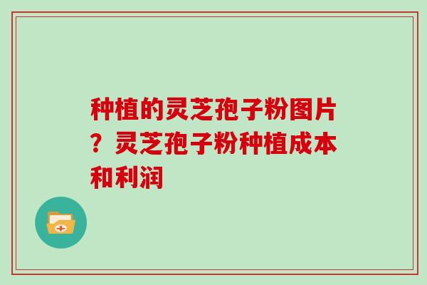 种植的灵芝孢子粉图片？灵芝孢子粉种植成本和利润