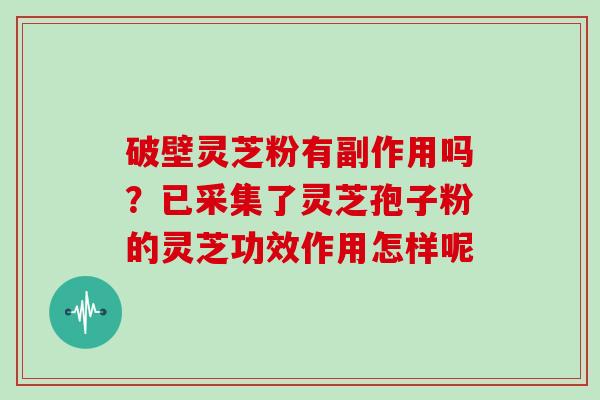 破壁灵芝粉有副作用吗？已采集了灵芝孢子粉的灵芝功效作用怎样呢