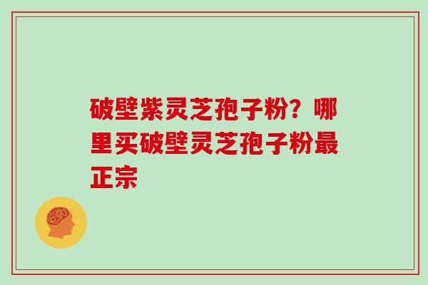 破壁紫灵芝孢子粉？哪里买破壁灵芝孢子粉最正宗