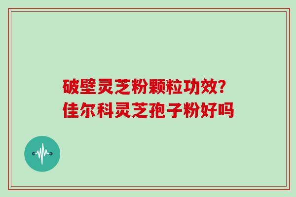 破壁灵芝粉颗粒功效？佳尔科灵芝孢子粉好吗