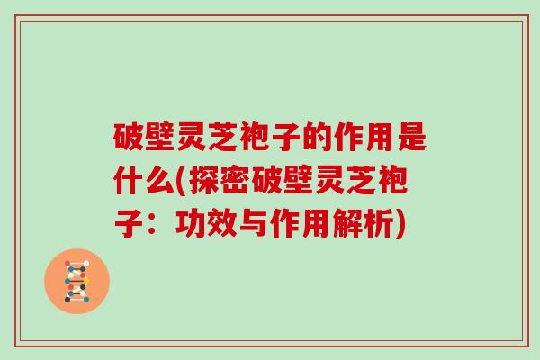 破壁灵芝袍子的作用是什么(探密破壁灵芝袍子：功效与作用解析)