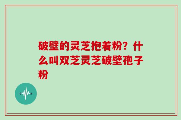 破壁的灵芝抱着粉？什么叫双芝灵芝破壁孢子粉