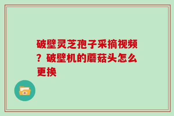 破壁灵芝孢子采摘视频？破壁机的蘑菇头怎么更换
