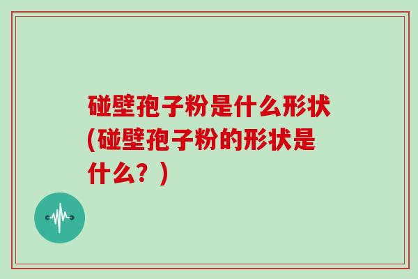 碰壁孢子粉是什么形状(碰壁孢子粉的形状是什么？)