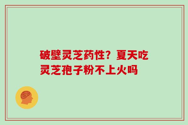 破壁灵芝药性？夏天吃灵芝孢子粉不上火吗