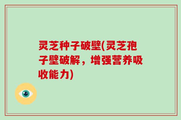 灵芝种子破壁(灵芝孢子壁破解，增强营养吸收能力)