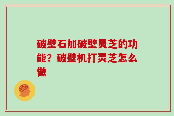 破壁石加破壁灵芝的功能？破壁机打灵芝怎么做