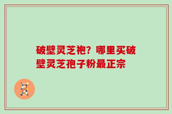 破壁灵芝袍？哪里买破壁灵芝孢子粉最正宗