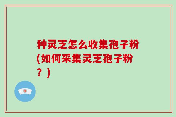 种灵芝怎么收集孢子粉(如何采集灵芝孢子粉？)