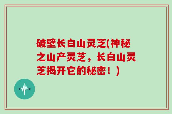 破壁长白山灵芝(神秘之山产灵芝，长白山灵芝揭开它的秘密！)