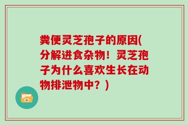 粪便灵芝孢子的原因(分解进食杂物！灵芝孢子为什么喜欢生长在动物排泄物中？)