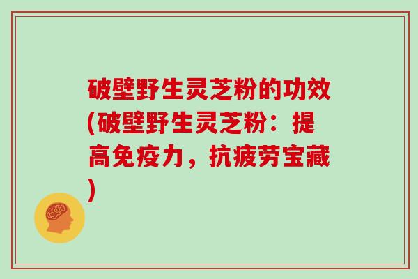 破壁野生灵芝粉的功效(破壁野生灵芝粉:提高免疫力,抗疲劳宝藏)-第1张图片-灵芝大师 破壁野生灵芝粉的功效(破壁野生灵芝粉:提高免疫力,抗疲劳宝藏)-第1张图片-灵芝大师