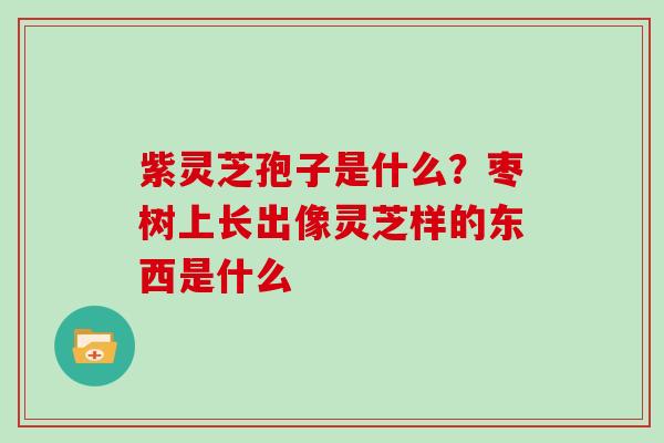 紫灵芝孢子是什么？枣树上长出像灵芝样的东西是什么-第1张图片-灵芝大师
