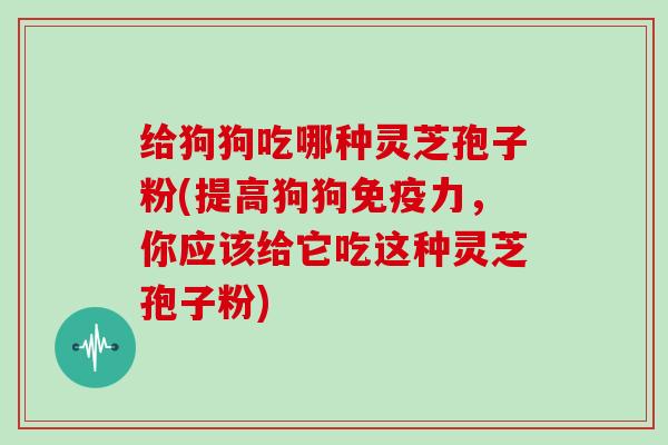 给狗狗吃哪种灵芝孢子粉(提高狗狗免疫力，你应该给它吃这种灵芝孢子粉)