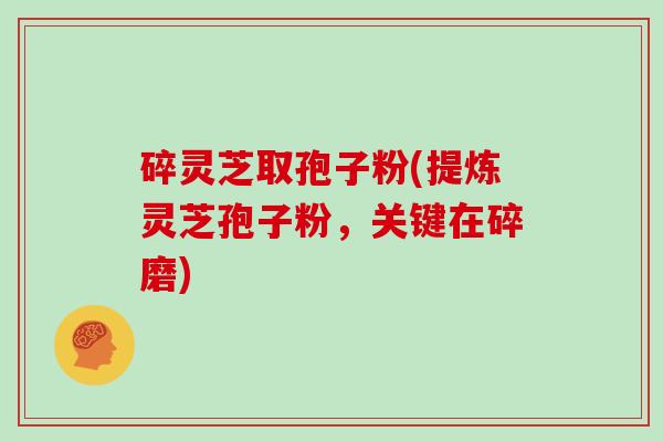 碎灵芝取孢子粉(提炼灵芝孢子粉，关键在碎磨)