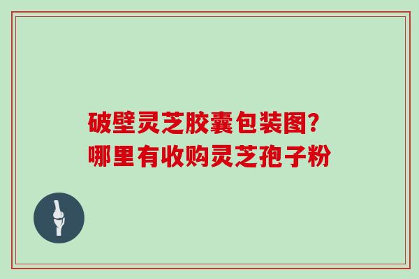 破壁灵芝胶囊包装图？哪里有收购灵芝孢子粉
