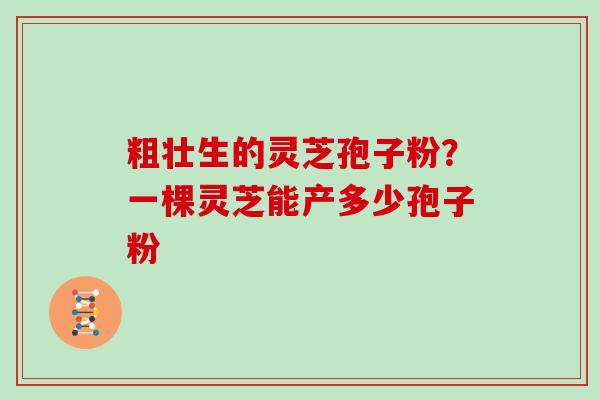 粗壮生的灵芝孢子粉？一棵灵芝能产多少孢子粉