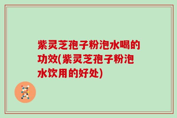 紫灵芝孢子粉泡水喝的功效(紫灵芝孢子粉泡水饮用的好处)