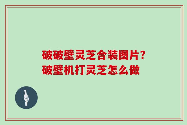 破破壁灵芝合装图片？破壁机打灵芝怎么做